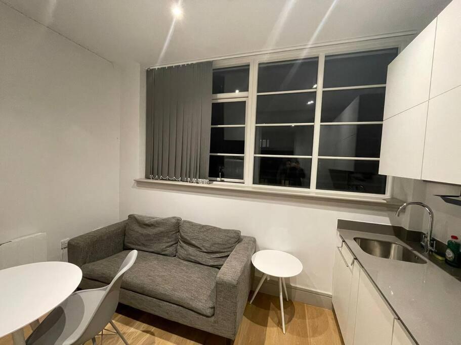 Monthly Stays 1Bed Serviced Studio Apartment Free Wifi & Netflix Whitechapel London Perfect For Solo & Coupled Guests Bagian luar foto